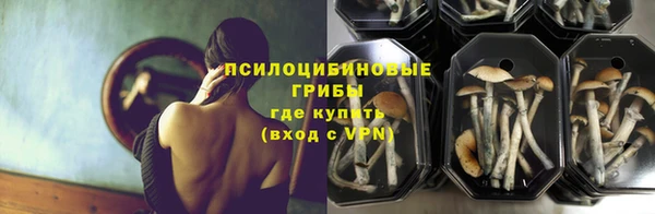 первитин Дмитров
