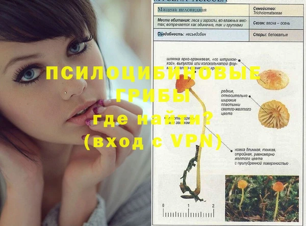 мефедрон Елизово