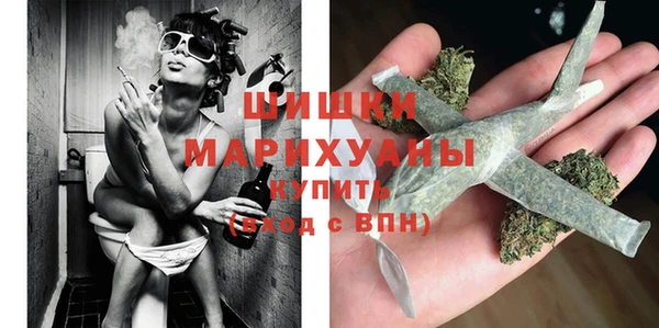 ПСИЛОЦИБИНОВЫЕ ГРИБЫ Ельня