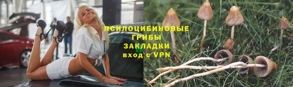 ECSTASY Елабуга